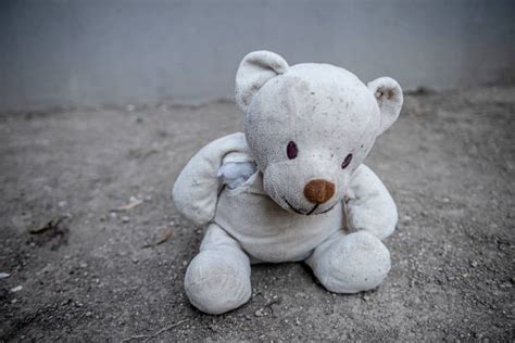 Teddy Bear Torn Stock Photos, Pictures & Royalty-Free Images - iStock