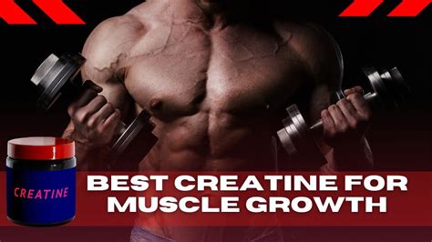 Top 6 Benefits of the Best Creatine for Muscle Growth