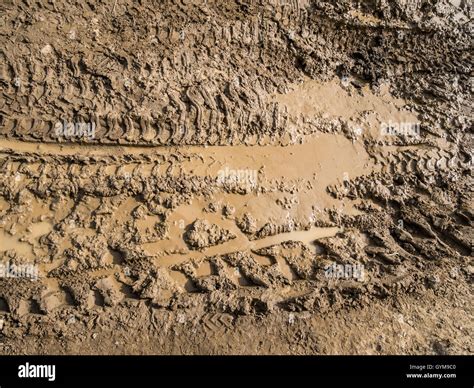 Mud High Resolution Stock Photography and Images - Alamy