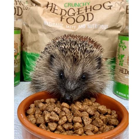 Hedgehog Food 900g