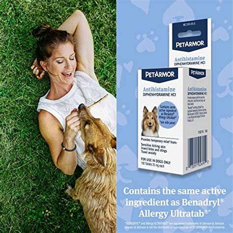 The 15 Best Allergy Medicines For Dogs - BestForPets.org