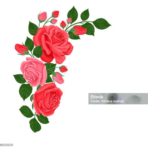 Vetores de Rosa E Rosas Vermelhas Em Ângulo Quadro Canto Floral Vetor Fronteira Ilustração De ...