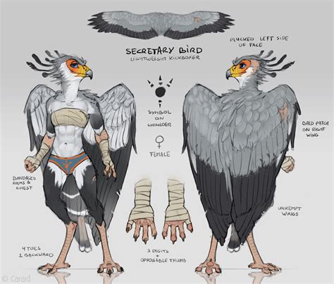 Secretary Bird by Caraid -- Fur Affinity [dot] net