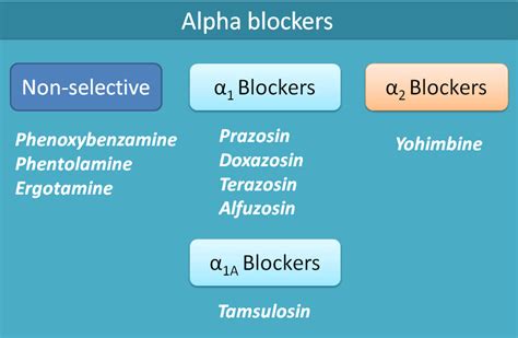 Alpha blockers - Cardiology and CCU | Facebook