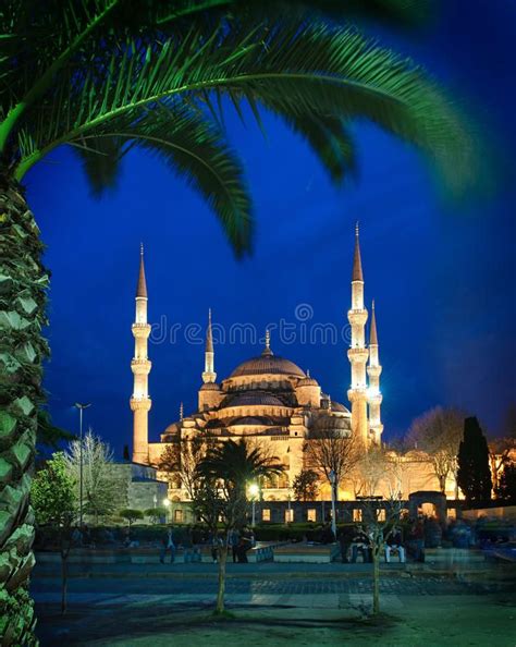 Blue Mosque at night stock image | Blue mosque, Mosque, Stock images