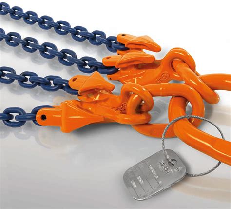 PEWAG Lifting Chain Accessories and Swivel Hoist Ring - SIRTEF