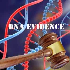 Law Web: How to appreciate DNA Evidence?