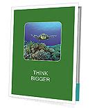 Gliding Hawksbill Sea Turtle Observes Pristine Coral Reef Ecosystem. Presentation Folder ...