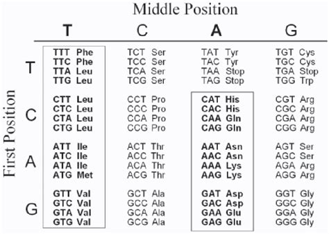 Genetic code and its properties - Overall Science