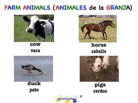 Farm animals names in Spanish - Spanish4Kiddos Tutoring