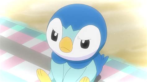 Piplup Screenshot | Pokemon teams, Piplup, Pokemon pictures