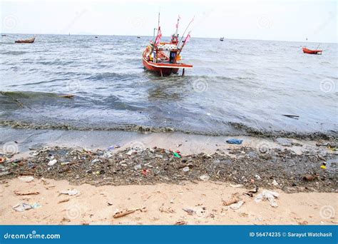 Pollution Effect of Plankton Bloom Stock Image - Image of algae, bloom: 56474235