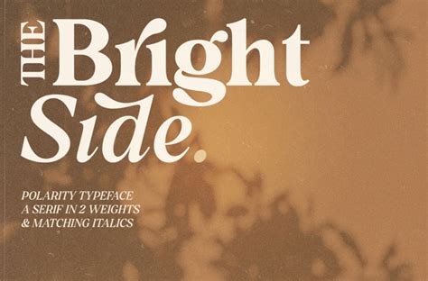 25 Luxury Fonts for Logos To Spice Up Your Branding