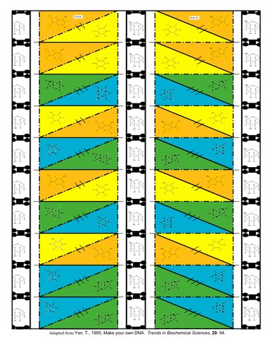 DNA Origami by nomad1970 - Teaching Resources - Tes