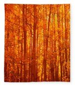 Aspen Trees At Sunrise In Autumn Photograph by Panoramic Images - Fine ...