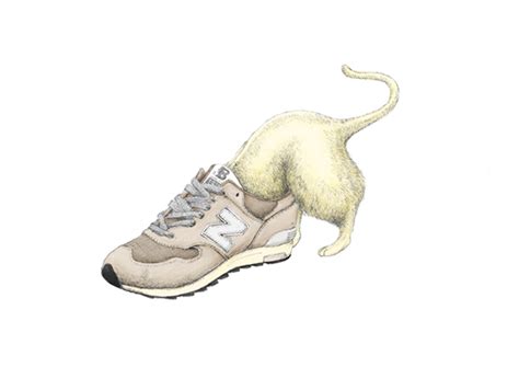 Cat wearing Sneakers on Behance