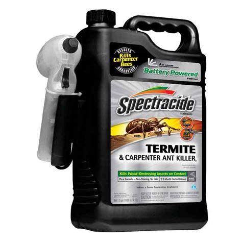 Best Termite Sprays-Orange Oil (DIY), Boric Acid & Spectracide Reviews | Pestbugs