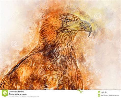 Watercolor Painting of the Golden Eagle Port Stock Illustration ...