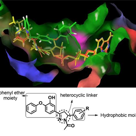 Design, synthesis, in silico and in vitro evaluation of novel diphenyl ether derivatives as ...