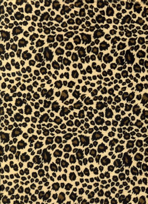 Leopard Pattern Wallpapers - Top Free Leopard Pattern Backgrounds ...