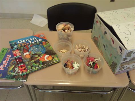 Prop Boxes in Early Childhood Classrooms – Parent PhD