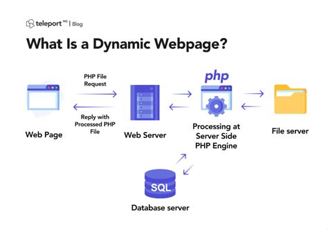 Static vs Dynamic Website, What are the differences?