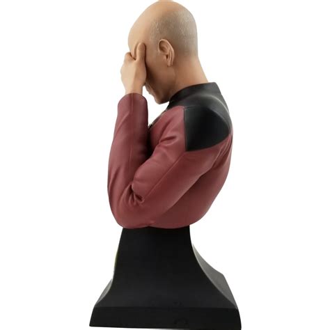 This STAR TREK Captain Picard Facepalm Bust is Perfect Representation ...