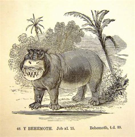 Biblical Beasts: Behemoth - The Dominican Friars in Britain