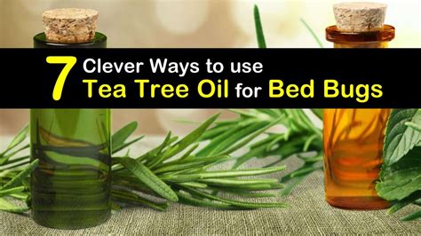 7 Clever Ways to use Tea Tree Oil for Bed Bugs