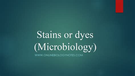 Stains or dyes used in microbiology: composition, types and mechanism ...