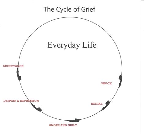 Grief Cycle Diagram | Dolphin Hypnotherapy & Psychotherapy Practice