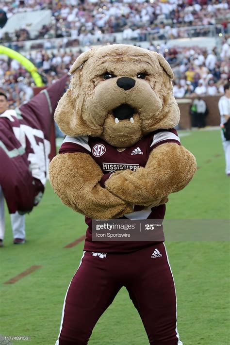 Bully, the Mississippi State mascot during the game between the LSU ...