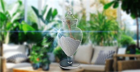 Epsom Salt as a Miracle Cure for Houseplants