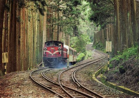 Alishan Mountain Taiwan Photo Gallery - InspirationSeek.com