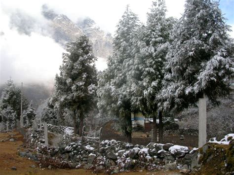 Fresh Snowfall Lachung in Sikkim Stock Photo - Image of fascinating ...