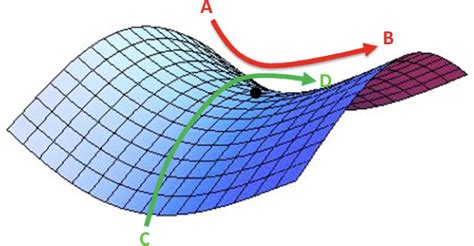 Termeh Kousha on Twitter: "Life is a saddle point! In #mathematics a # ...