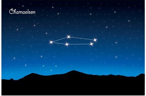 Constellation Chamaeleon In Night Sky Stock Illustration - Download Image Now - iStock