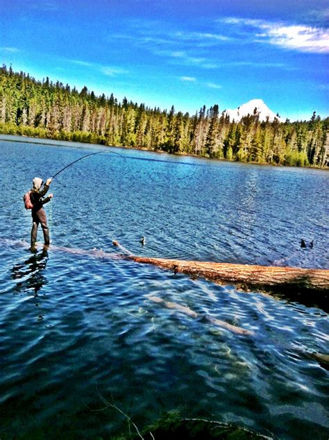 Fly fishing at frog lake in Oregon | Oregon travel, Fly fishing, Fish camp