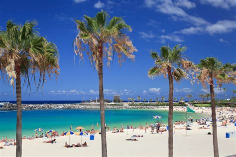 Seaside Sandy Beach Hotel in Gran Canaria lives up to its name with ...