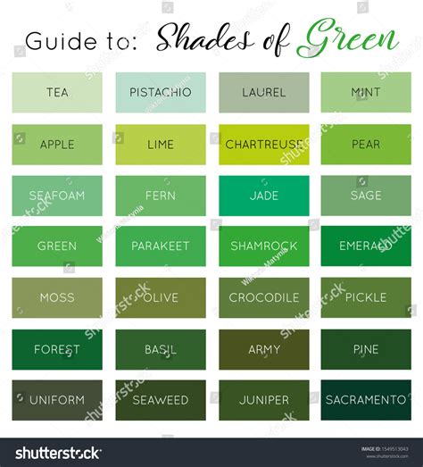 Olive Green Paint: Over 3.952 Royalty-Free Licensable Stock Vectors ...