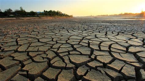 Climate change made a U.S. drought one of the worst in 1,200 years | Science News