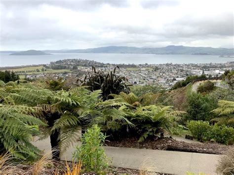 ROTORUA LUGE AND GONDOLA RIDES - A MUST DO!