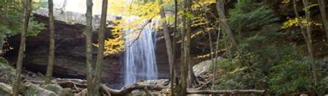 Campground Details - OHIOPYLE STATE PARK, PA - Pennsylvania State Parks