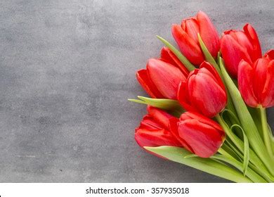 583,786 Red Tulips Background Images, Stock Photos & Vectors | Shutterstock