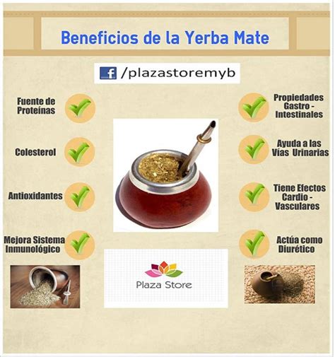 Plaza Store - Mates, Bombillas y Yerba Mate: Beneficios de la Yerba Mate