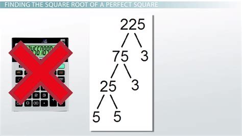 Evaluating Square Roots of Perfect Squares - Lesson | Study.com