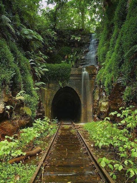 Abandoned railroad tunnel in Australia. : pics