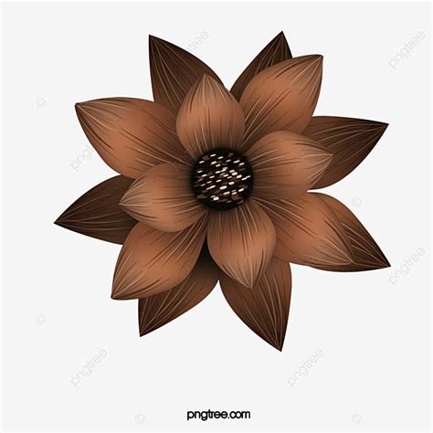 Brown Flower Hd Transparent, Beautiful Brown Flowers, Pretty, Brown ...