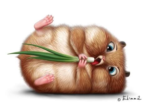 Cute Gerbil Drawing