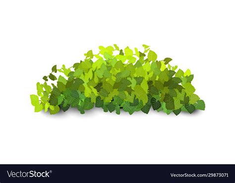 Garden bush green vegetation bushes icons Vector Image